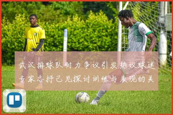 武汉排球队耐力争议引发热议球迷专家各抒己见探讨训练与表现的关系